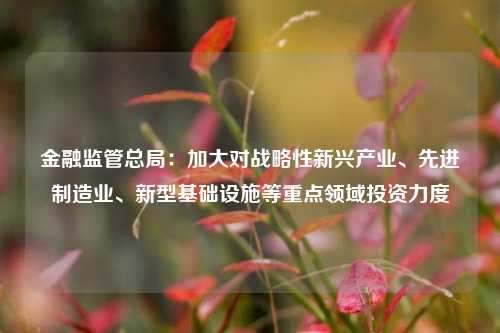 金融监管总局：加大对战略性新兴产业、先进制造业、新型基础设施等重点领域投资力度