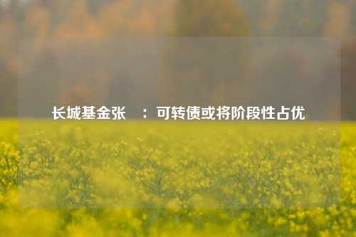 长城基金张棪：可转债或将阶段性占优