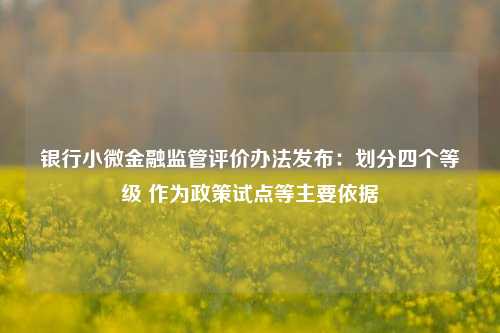 银行小微金融监管评价办法发布：划分四个等级 作为政策试点等主要依据