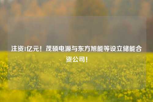 注资1亿元！茂硕电源与东方旭能等设立储能合资公司！