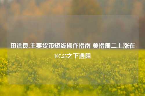 田洪良:主要货币短线操作指南 美指周二上涨在107.55之下遇阻