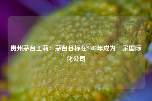 贵州茅台王莉：茅台目标在2035年成为一家国际化公司