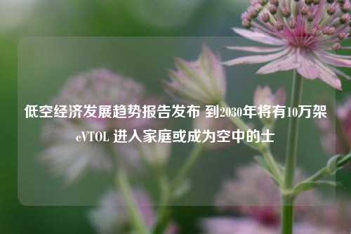 低空经济发展趋势报告发布 到2030年将有10万架eVTOL 进入家庭或成为空中的士