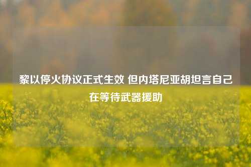 黎以停火协议正式生效 但内塔尼亚胡坦言自己在等待武器援助