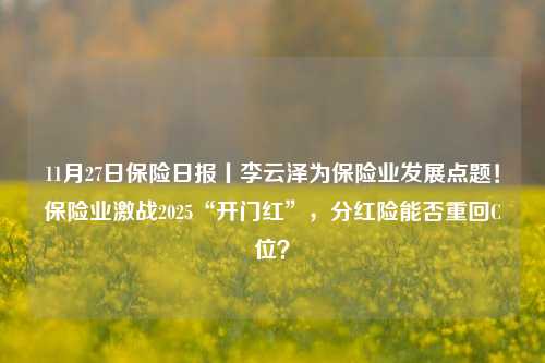 11月27日保险日报丨李云泽为保险业发展点题！保险业激战2025“开门红”，分红险能否重回C位？