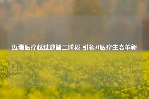 迈瑞医疗越过数智三阶段 引领AI医疗生态革新