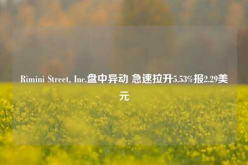 Rimini Street, Inc.盘中异动 急速拉升5.53%报2.29美元