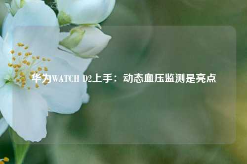 华为WATCH D2上手：动态血压监测是亮点