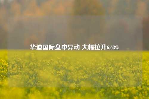 华迪国际盘中异动 大幅拉升6.63%