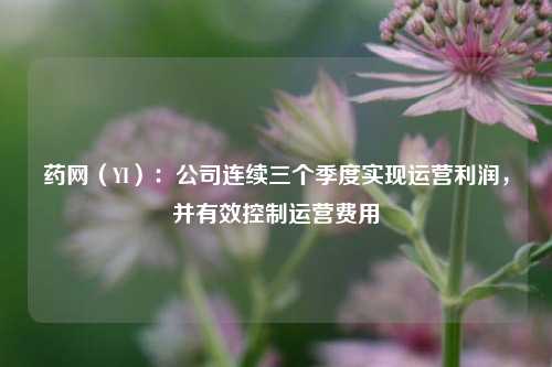 药网（YI）：公司连续三个季度实现运营利润，并有效控制运营费用