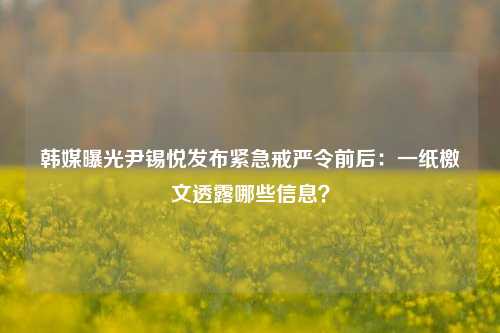 韩媒曝光尹锡悦发布紧急戒严令前后：一纸檄文透露哪些信息？-第1张图片-河南汇强信息技术有限公司