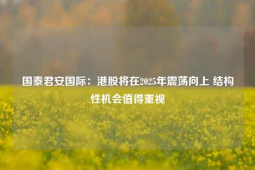 国泰君安国际：港股将在2025年震荡向上 结构性机会值得重视-第1张图片-河南汇强信息技术有限公司