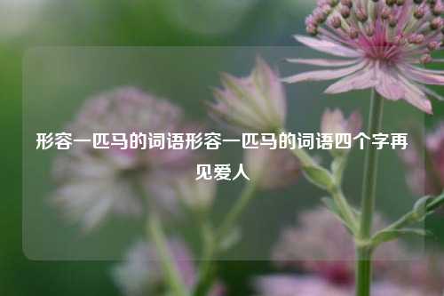 形容一匹马的词语形容一匹马的词语四个字再见爱人-第1张图片-河南汇强信息技术有限公司