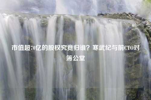 市值超70亿的股权究竟归谁？寒武纪与前CTO对簿公堂