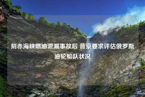 刻赤海峡燃油泄漏事故后 普京要求评估俄罗斯油轮船队状况