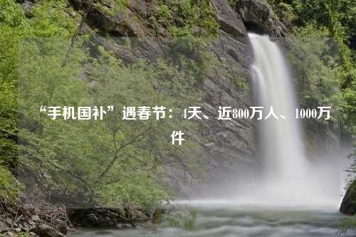 “手机国补”遇春节：4天、近800万人、1000万件