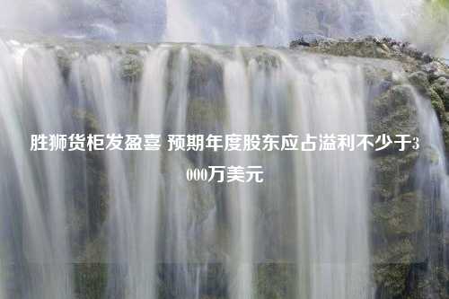 胜狮货柜发盈喜 预期年度股东应占溢利不少于3000万美元